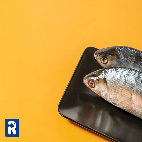 فواید ماهی در پیشگیری و کنترل بیماری