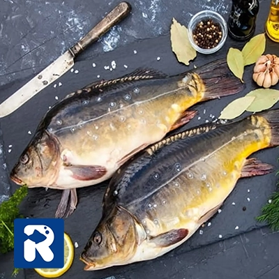 طبع ماهی کپور از دیدگاه طب سنتی
