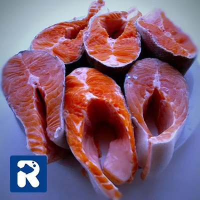 حمایت از سیستم ایمنی | سالمون و تقویت ایمنی بدن