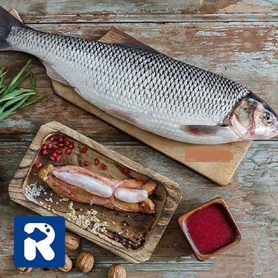 خواص ماهی سفید بر بدن کدامند؟
