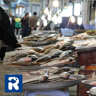 اهمیت اقتصادی ماهی سفید خزر