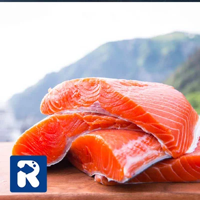 ماهی سالمون سوکی (Sockeye Salmon)