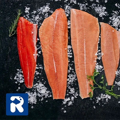 انواع ماهی سالمون