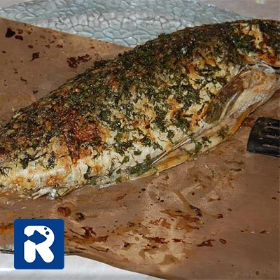 گذاشتن ماهی کپور در فر