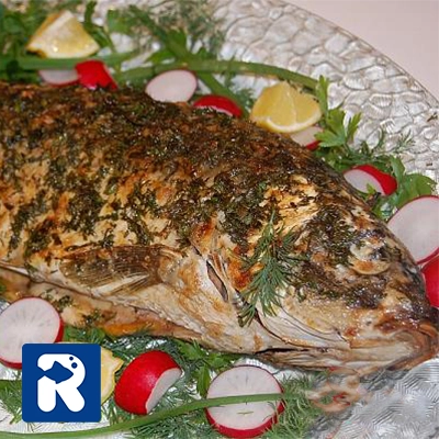 سرو ماهی کپور