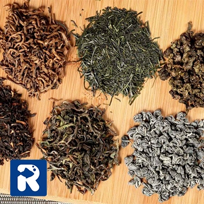 بهترین چای گیلان