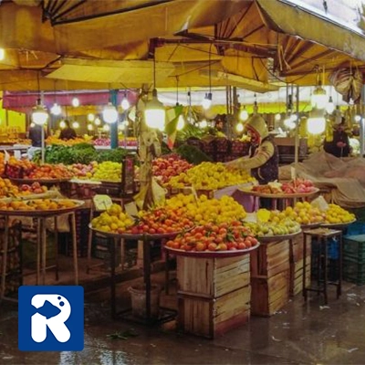 میوه و سبزیجات محلی و دارویی