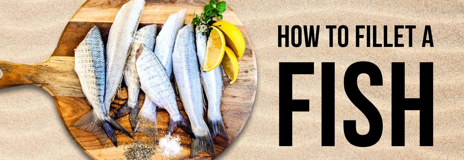 rahnama fish
