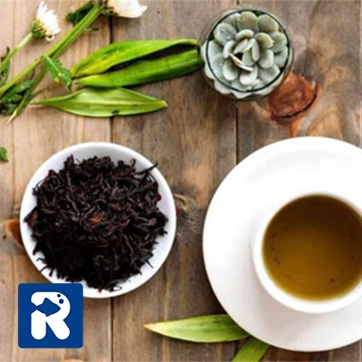 چای بهاره گیلان