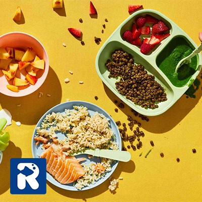 نکات ضروری که والدین باید در مورد ماهی بدانند