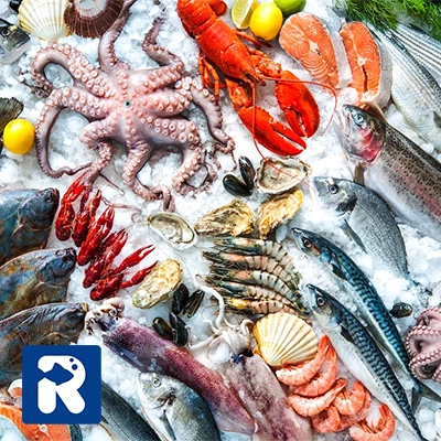 مقایسه گوشت ماهی و مرغ از نظر تنوع