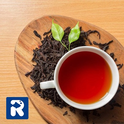 خرید چای بهاره لاهیجان