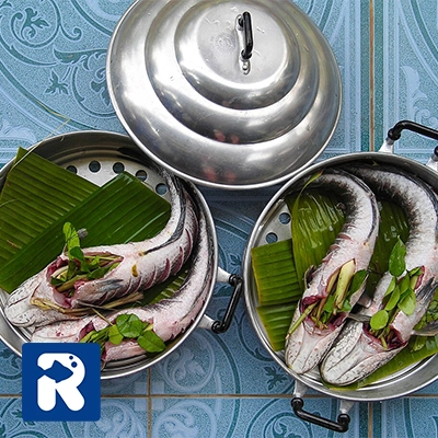 مصرف ماهی با کلسترول بالا