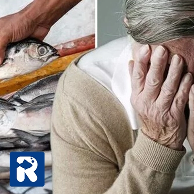 پیشگیری از آلزایمر و زوال عقل