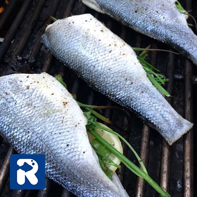 طرز تهیه ماهی رژیمی: کبابی روی گاز