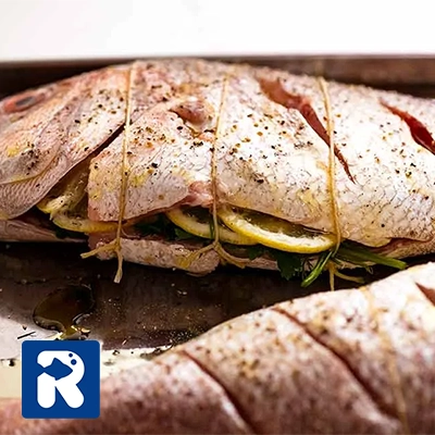 طرز تهیه ماهی رژیمی: شکم پر
