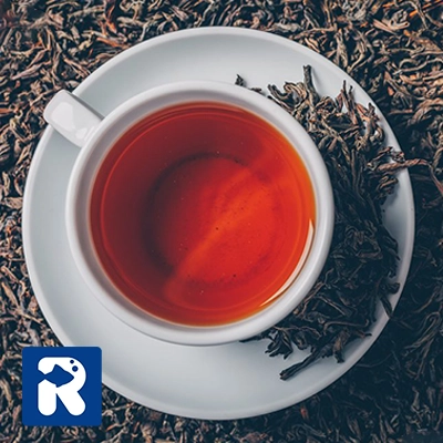 چای بهاره لاهیجان