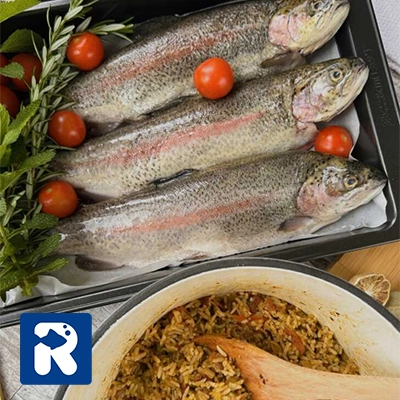 مواد لازم طرز تهیه ماهی قزل آلا