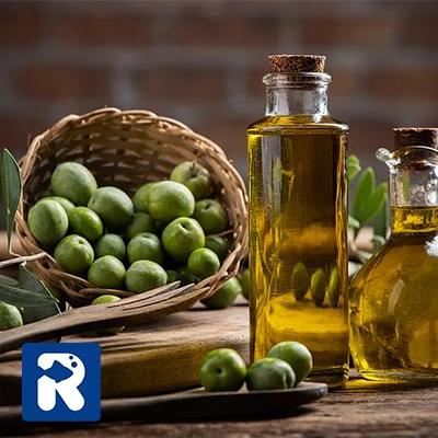 روغن زیتون چیست؟