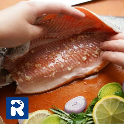 طعم‌دهی و پر کردن ماهی