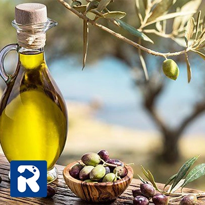 خواص روغن زیتون