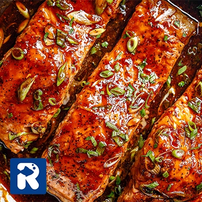 نکاتی برای طرز تهیه سالمون تری یاکی