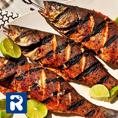 نکات مهم طرز تهیه ماهی گریل