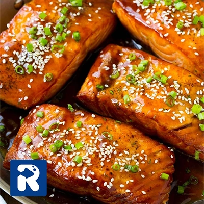 طرز تهیه سالمون تری یاکی