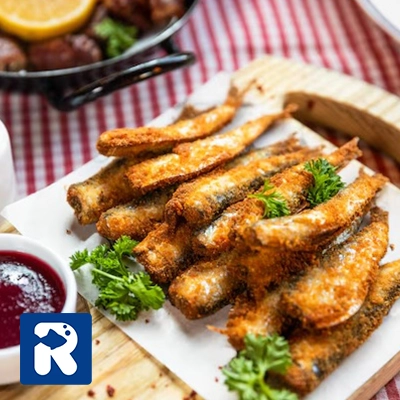 مقایسه ارزش غذایی ماهی کیلکا با دیگر ماهی‌ها