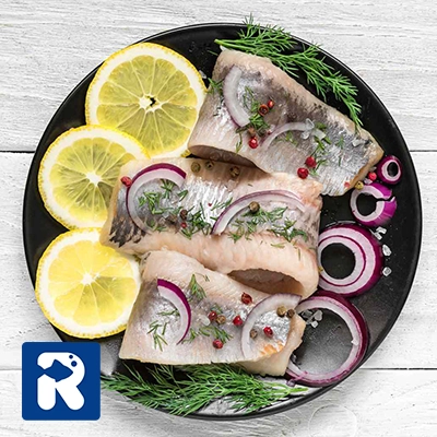 مزایای مصرف سالمون برای زنان باردار