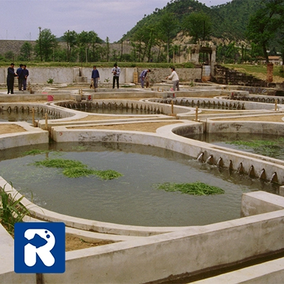 خصوصیات مکان مناسب برای پرورش ماهیان کپور