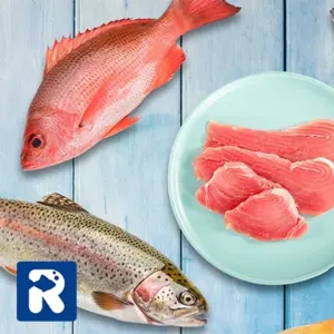 انواع ماهی گوشت قرمز