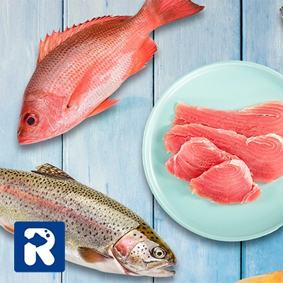 انواع ماهی گوشت قرمز